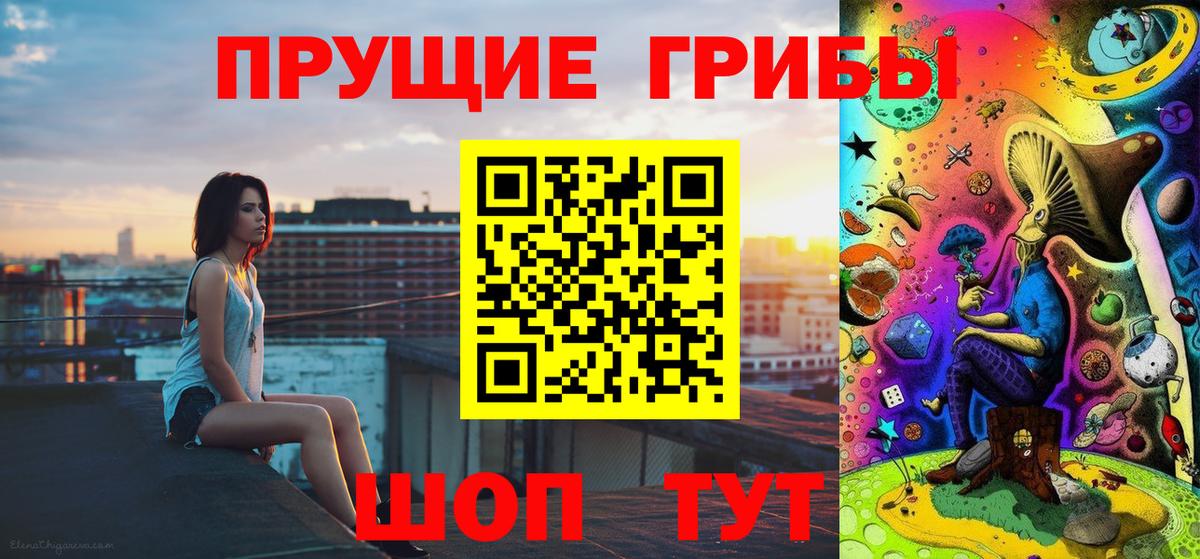 Псилоцибиновые грибы ЛСД  где продают   Павловский Посад  Вход с VPN 