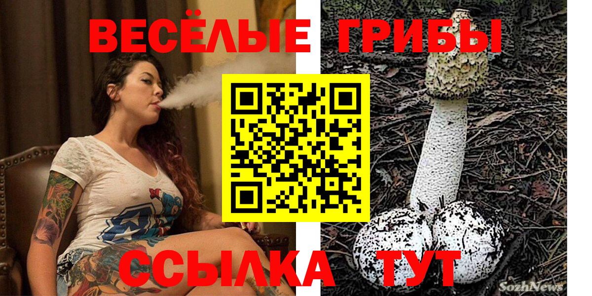 Псилоцибиновые грибы Magic Shrooms Павловский Посад